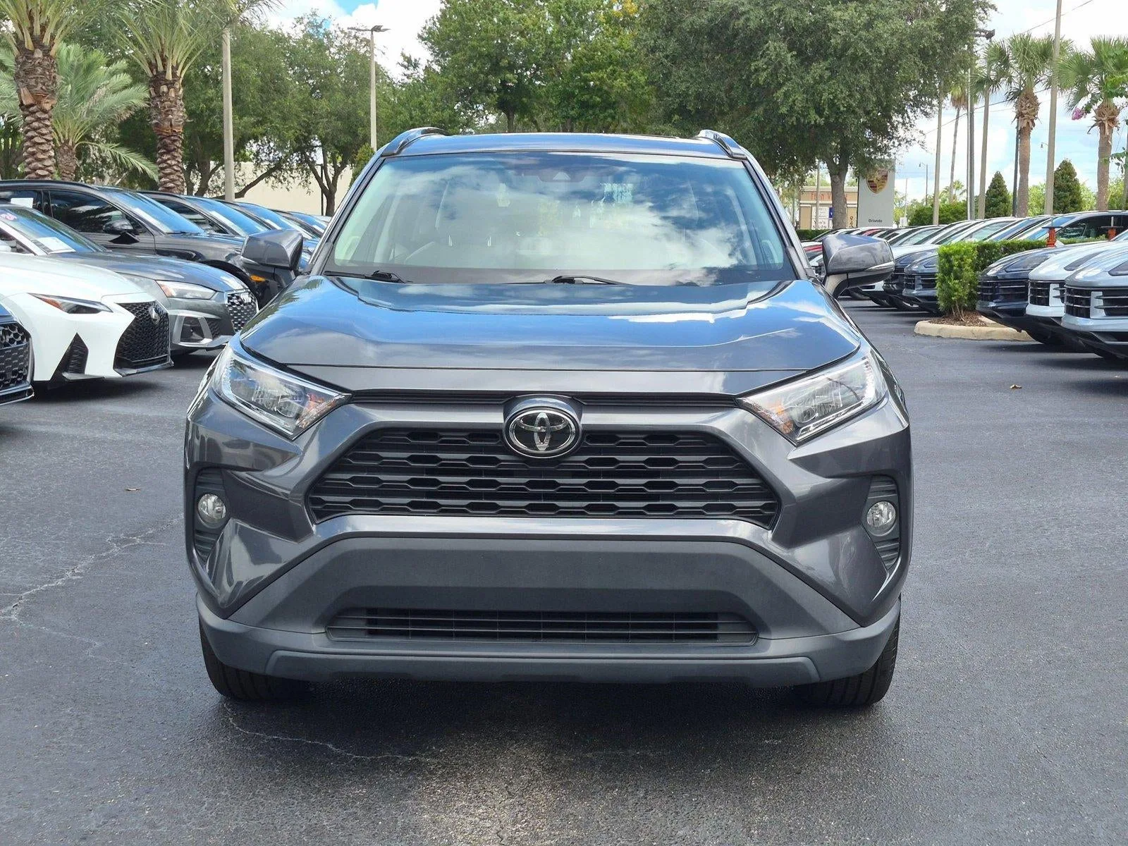 2019 Toyota RAV4 XLE Premium FWD (Natl) photo 6