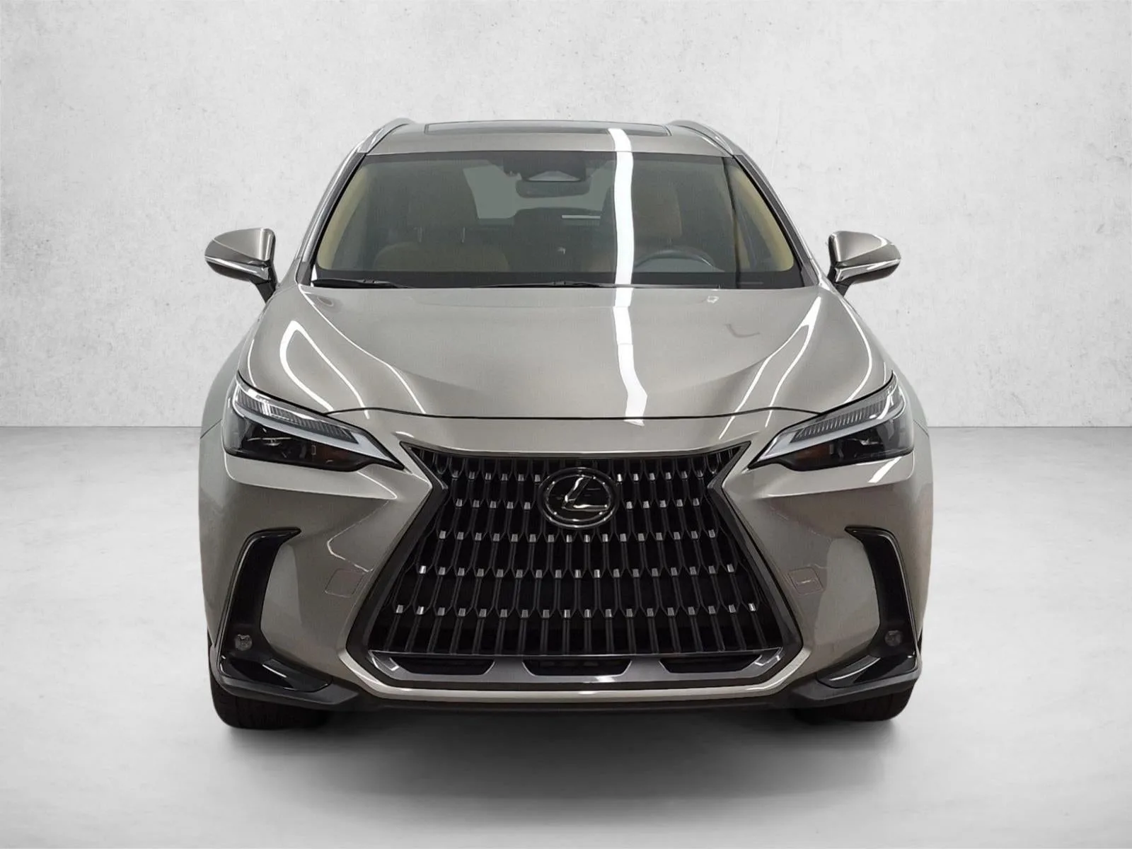 2024 Lexus NX 250 NX 250 photo 2