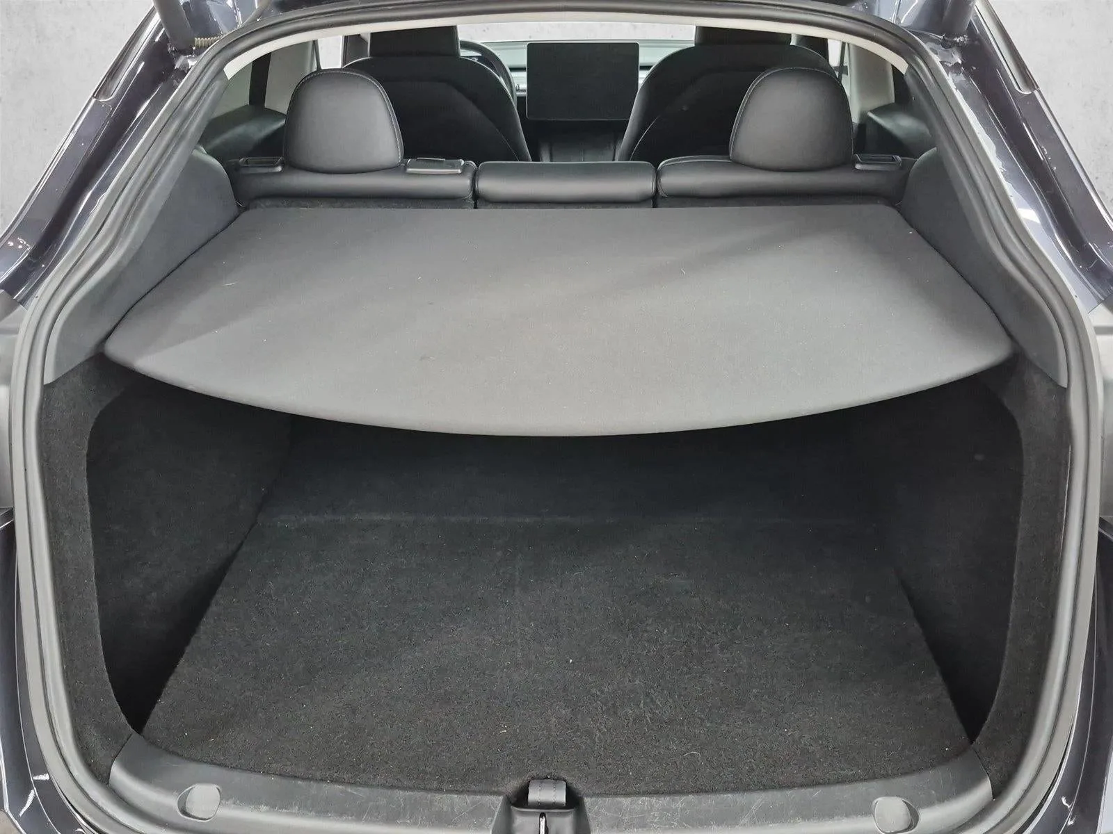 2024 Tesla Model Y Long Range photo 6