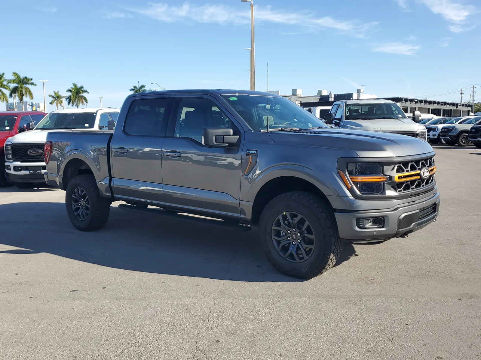 2025 Ford F-150 Tremor photo 3