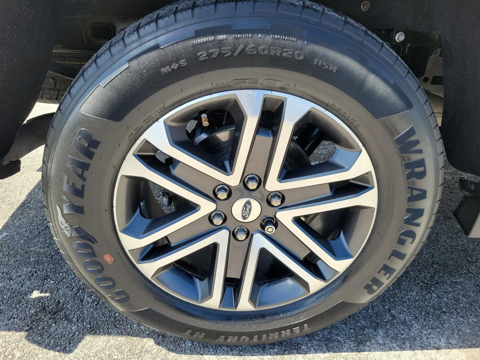 2023 Ford F-150 XL photo 11