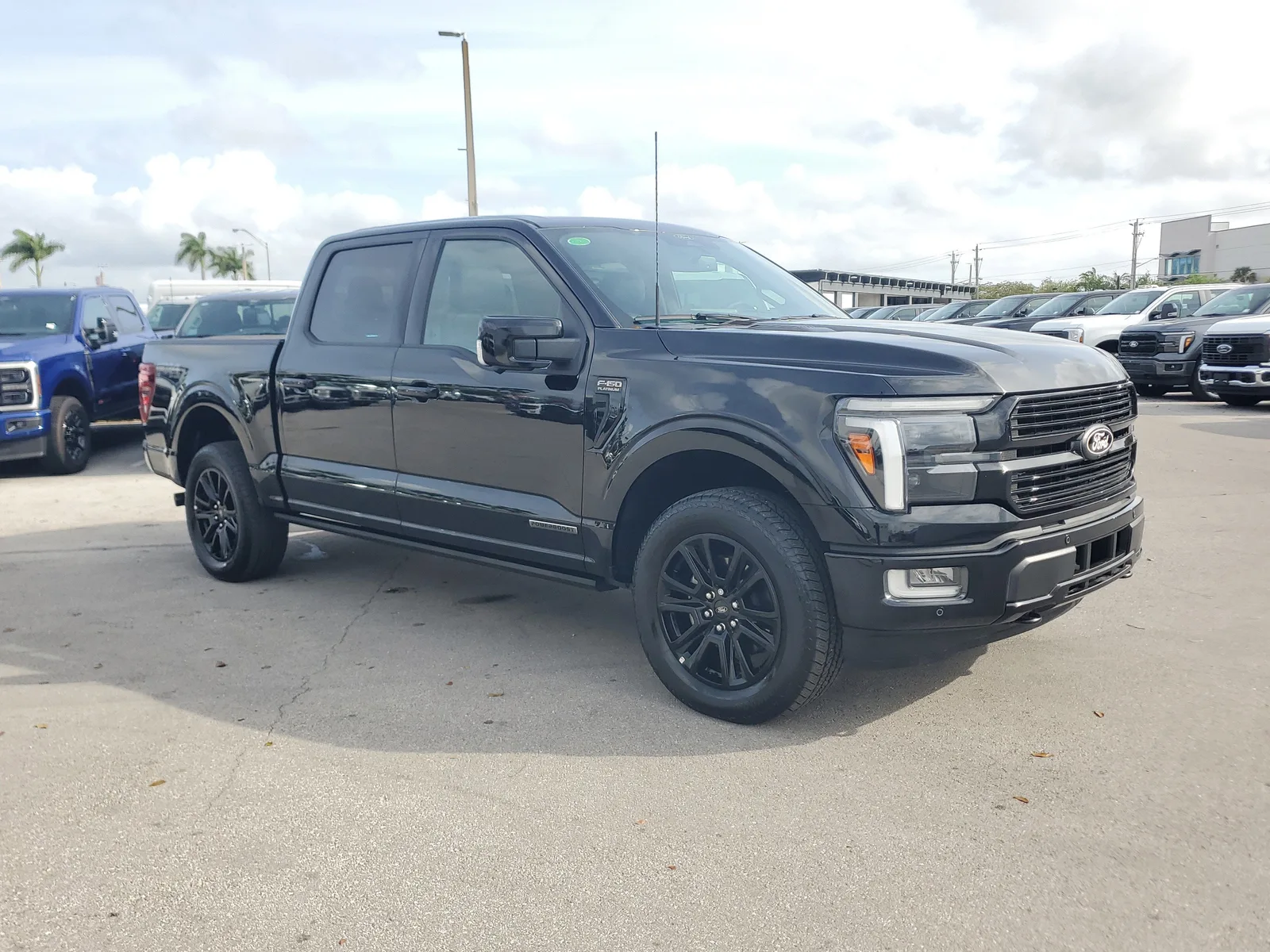 2025 Ford F-150 Platinum photo 3