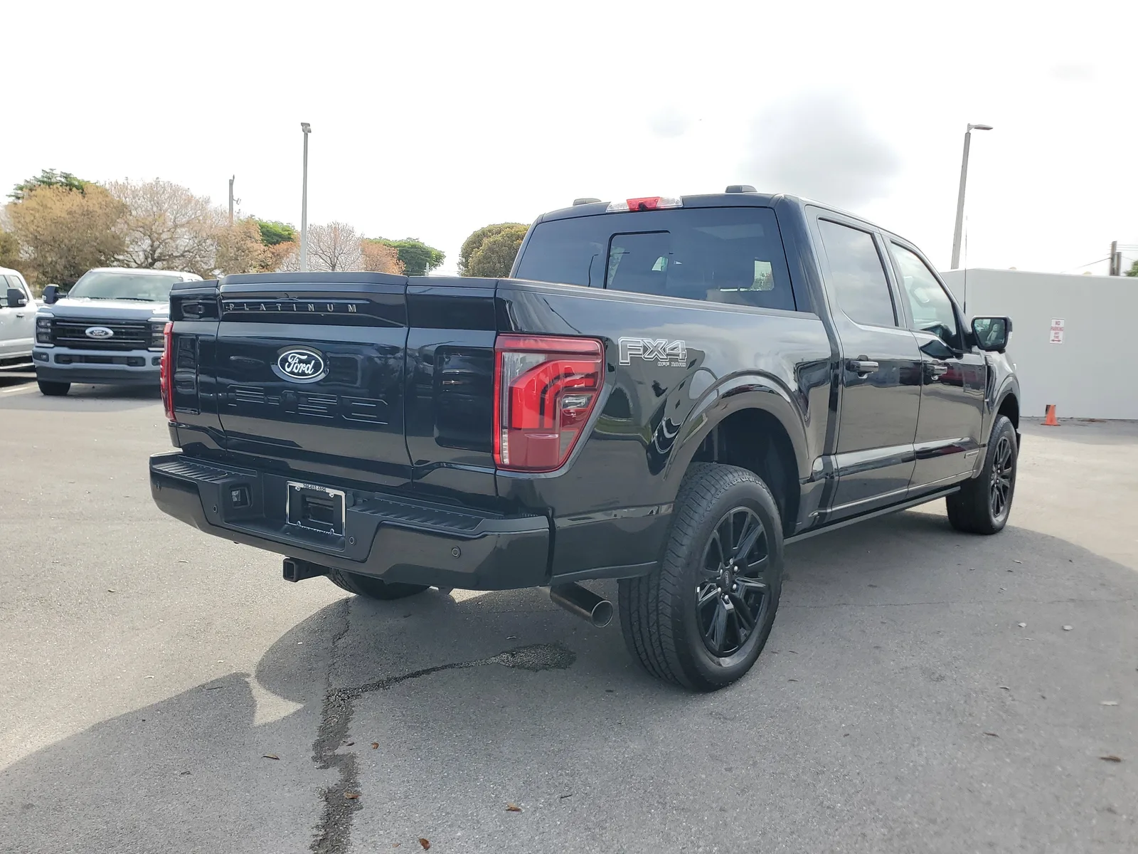 2025 Ford F-150 Platinum photo 5
