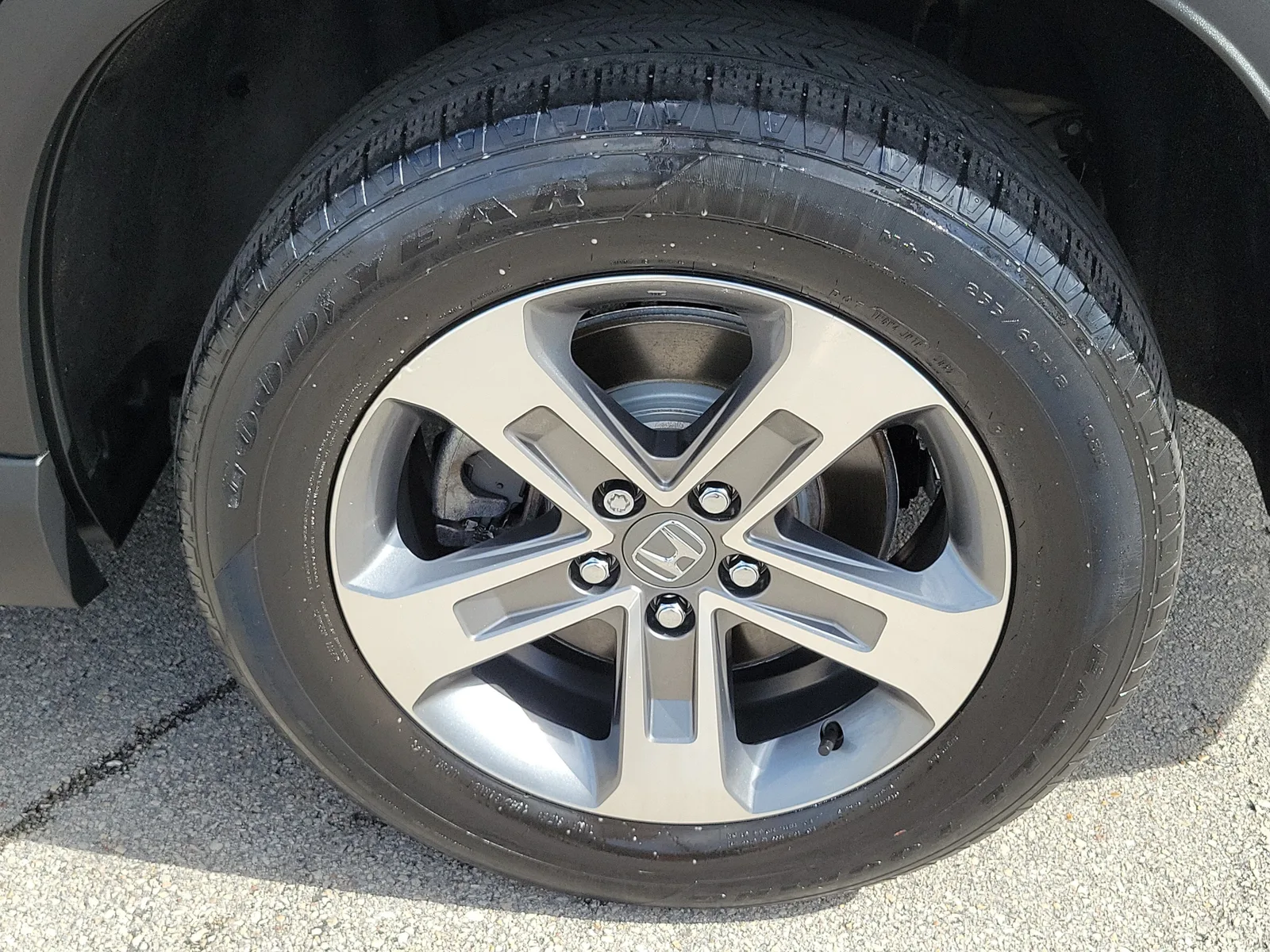 2023 Honda Pilot EX-L 7 Passenger photo 13