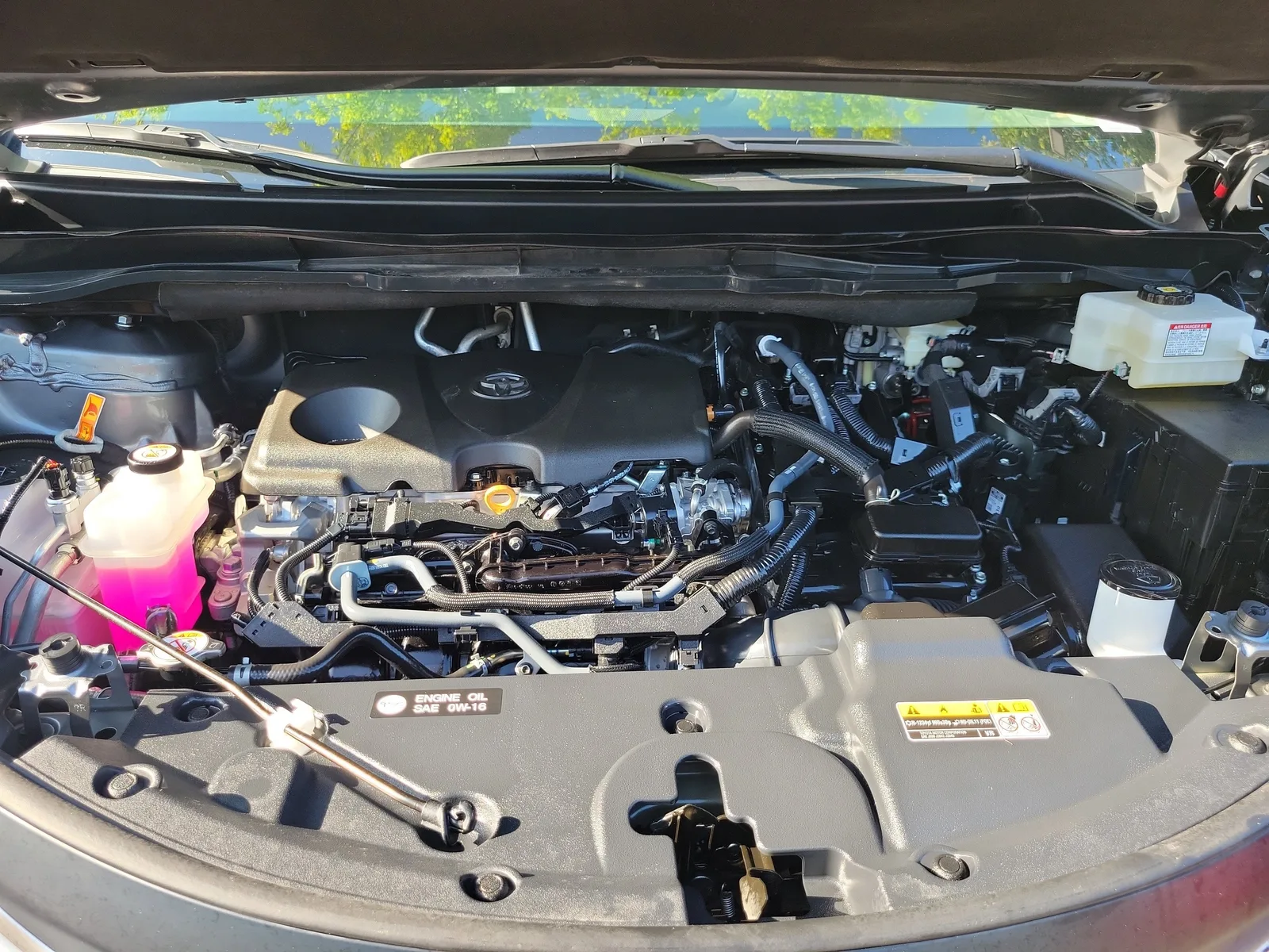 2026 Toyota Sienna XLE photo 28