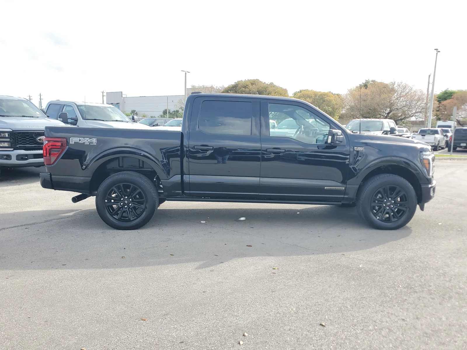 2025 Ford F-150 Platinum photo 4