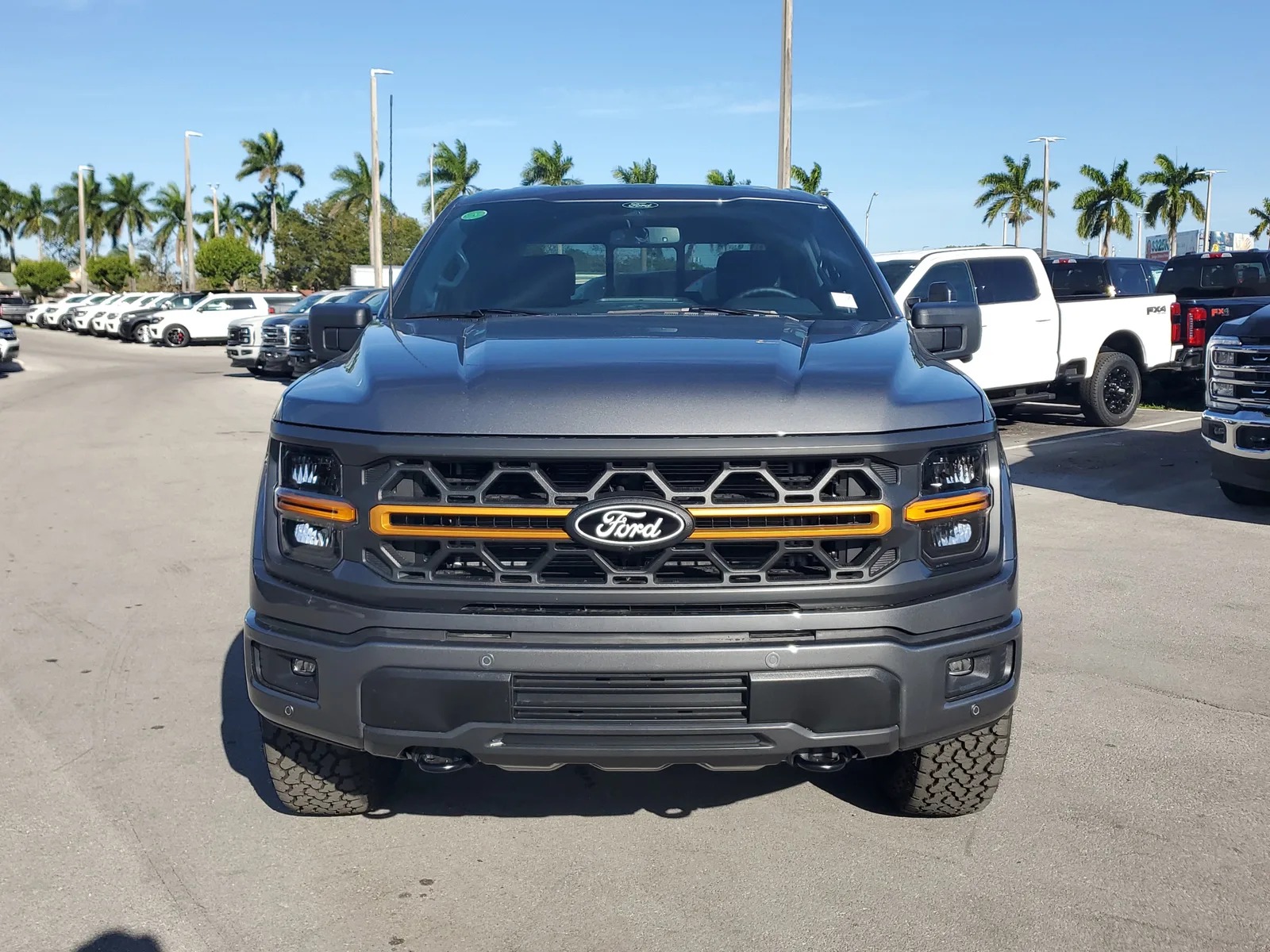 2025 Ford F-150 Tremor photo 2