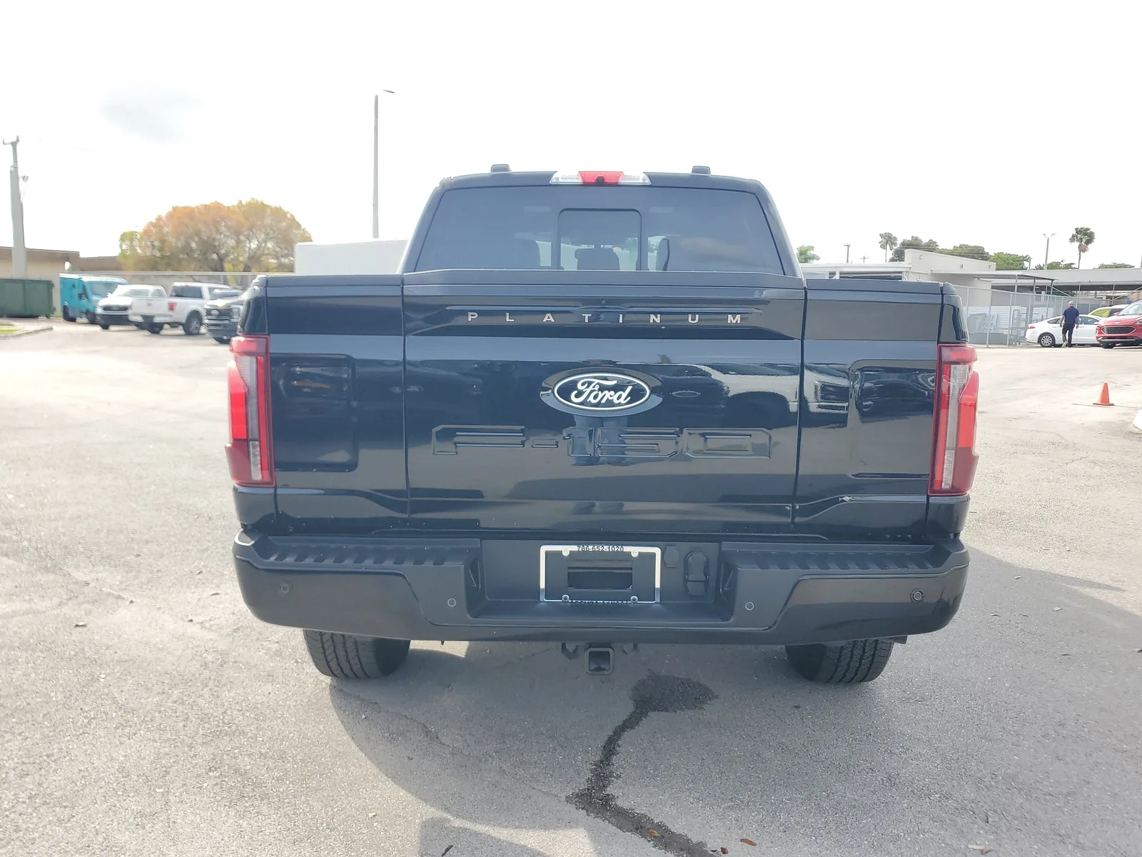 2025 Ford F-150 Platinum photo 6
