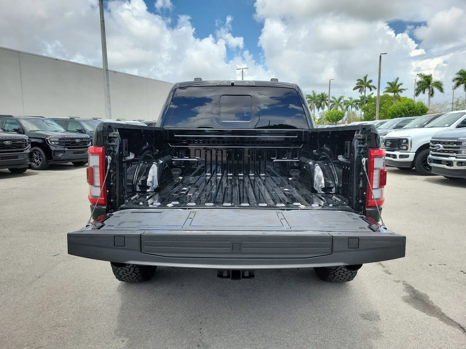 2023 Ford F-150 Raptor 4WD photo 30