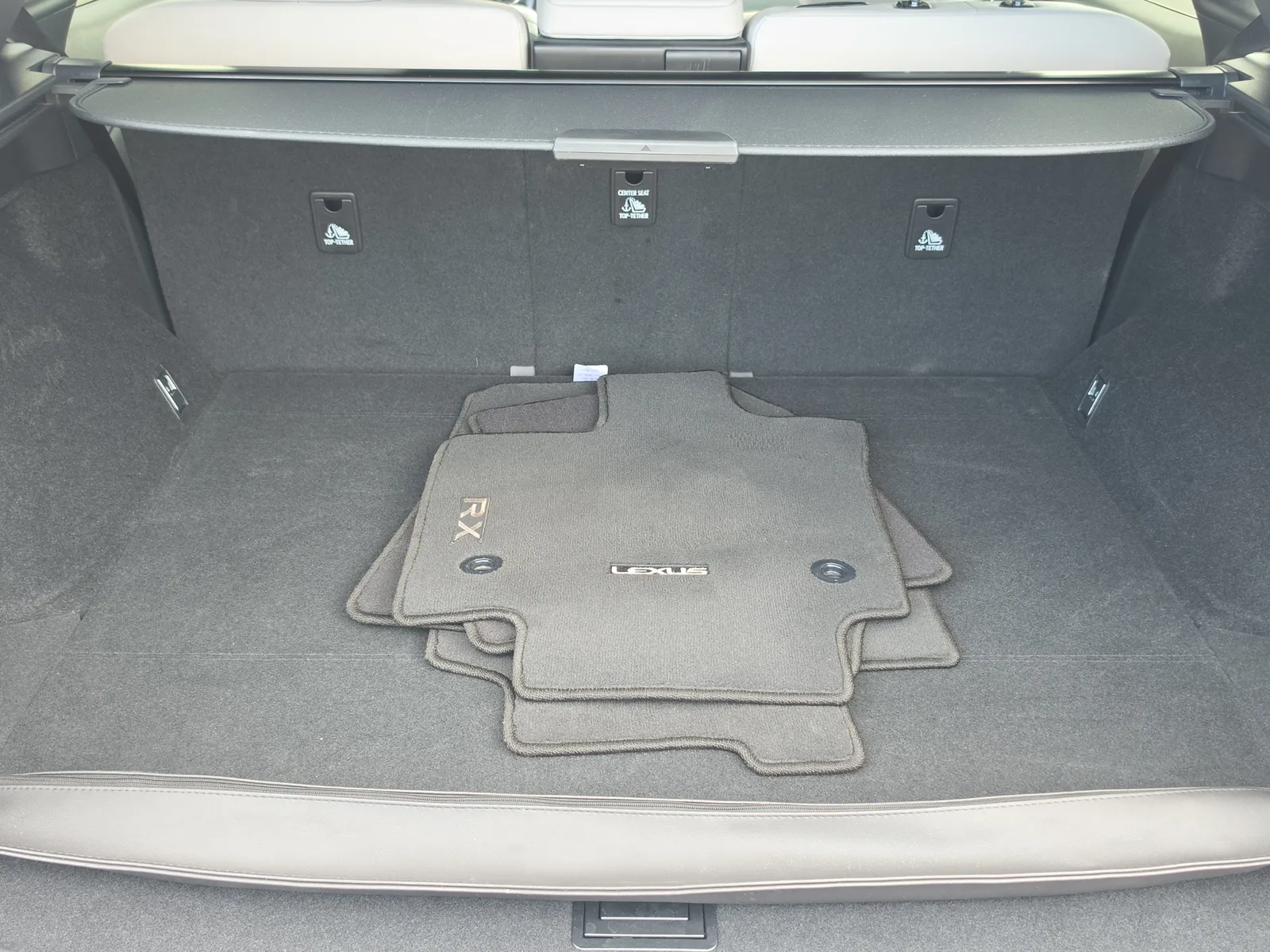 2023 Lexus RX RX 350 Premium photo 15