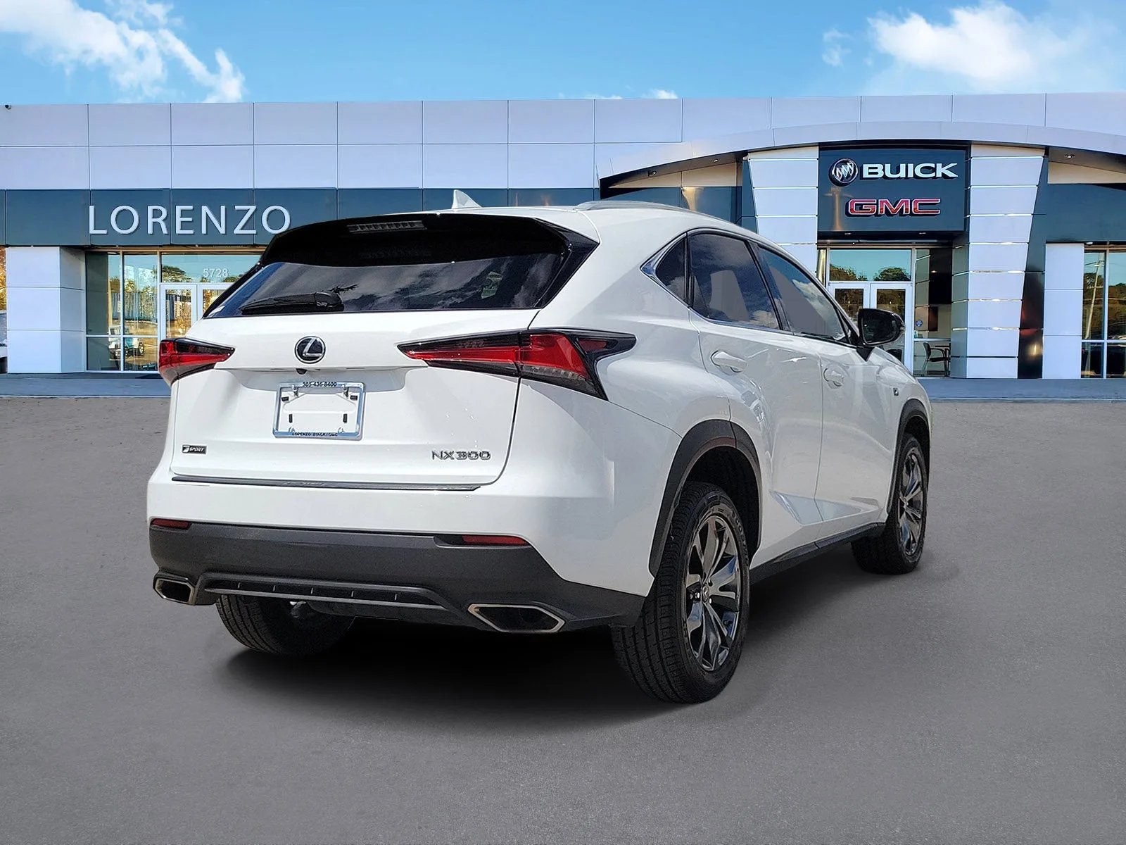 2020 Lexus NX NX 300 F SPORT photo 5