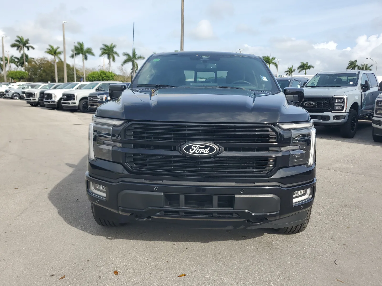 2025 Ford F-150 Platinum photo 2