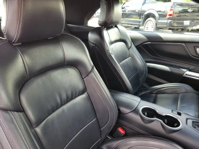 2024 Ford Mustang EcoBoost Premium photo 13