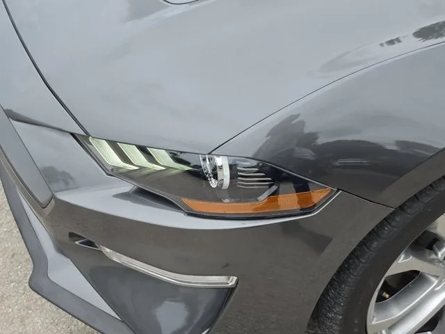 2019 Ford Mustang EcoBoost Premium photo 11