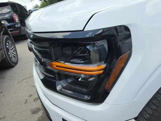 2025 Ford F-150 XLT photo 8