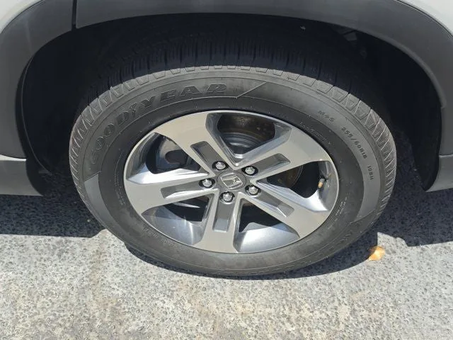 2024 Honda Pilot EX-L 8 Passenger photo 7