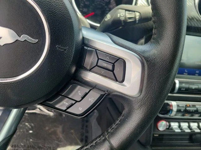 2022 Ford Mustang EcoBoost photo 17