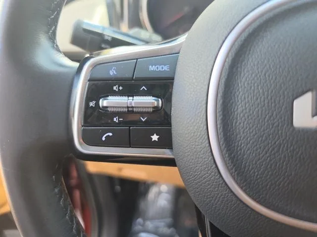 2024 Kia Carnival EX photo 19