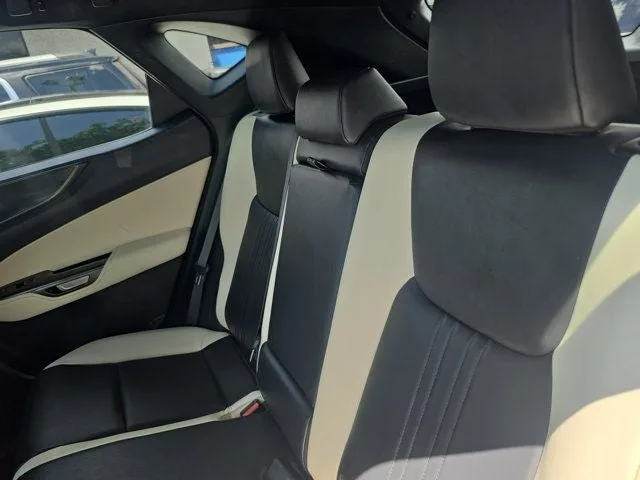 2024 Lexus NX 250 Base photo 10