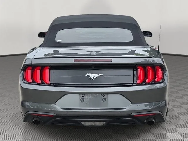2019 Ford Mustang EcoBoost Premium photo 5