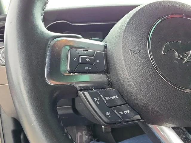 2019 Ford Mustang EcoBoost Premium photo 18