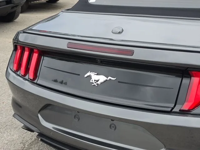 2019 Ford Mustang EcoBoost Premium photo 7