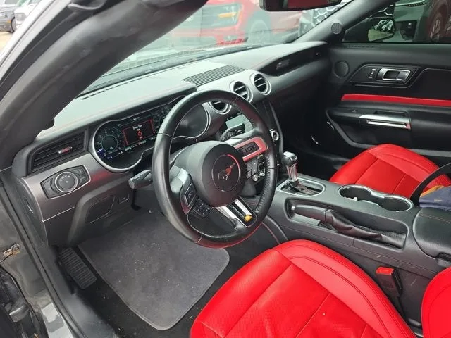 2019 Ford Mustang EcoBoost Premium photo 14