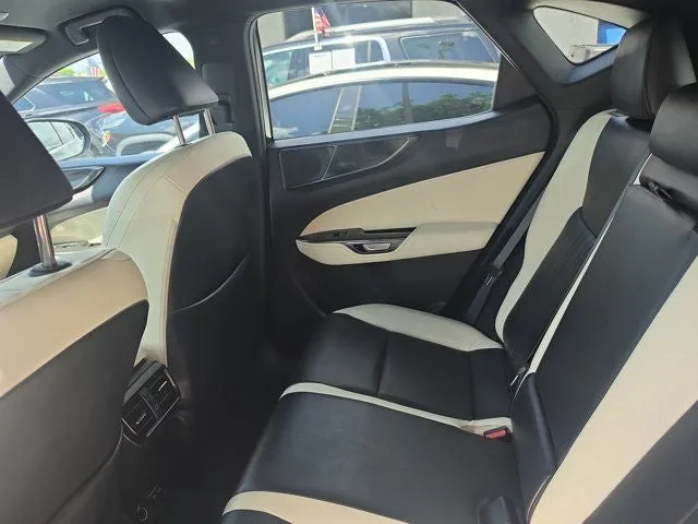 2024 Lexus NX 250 Base photo 11