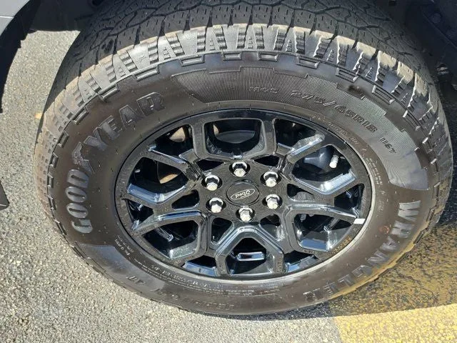 2024 Ford F-150 XLT photo 10