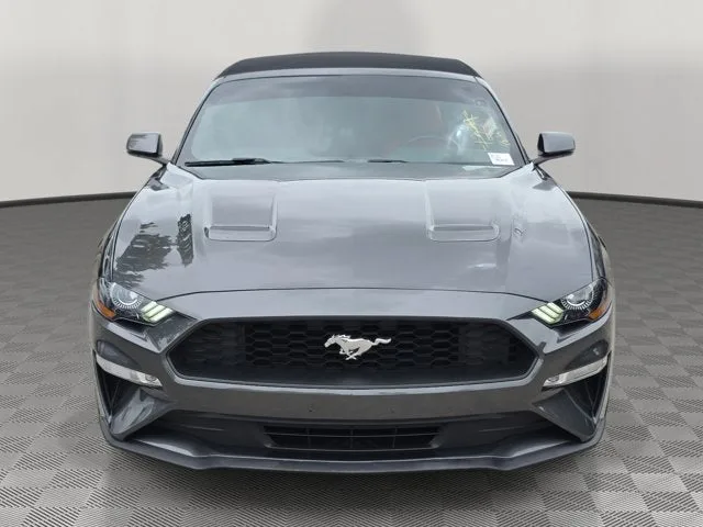 2019 Ford Mustang EcoBoost Premium photo 2