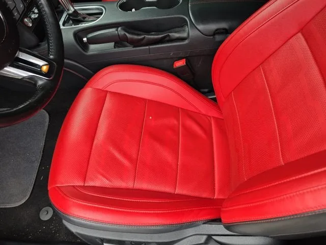 2019 Ford Mustang EcoBoost Premium photo 15