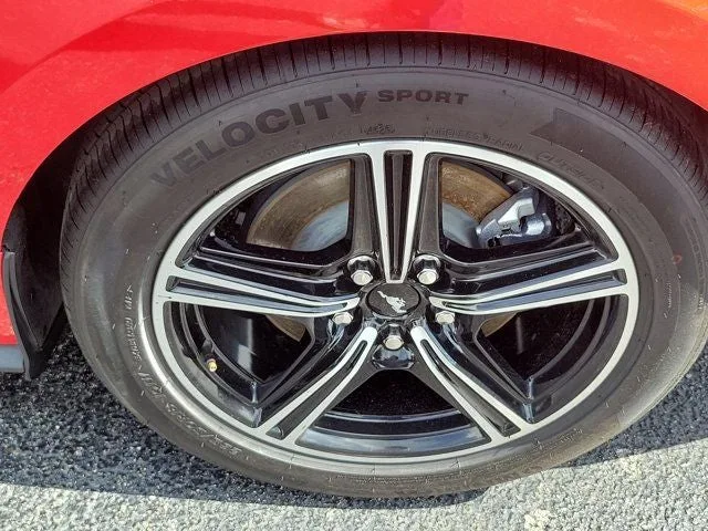 2024 Ford Mustang EcoBoost Premium photo 8