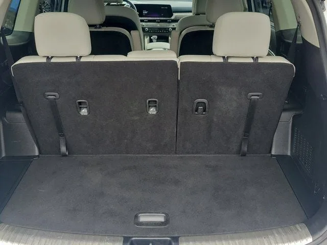 2024 Kia Telluride SX photo 7