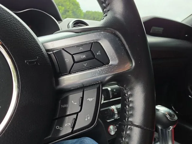 2019 Ford Mustang EcoBoost Premium photo 19