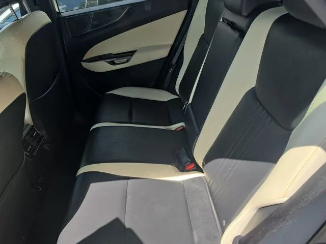 2024 Lexus NX 250 Base photo 9