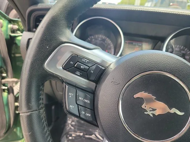 2022 Ford Mustang EcoBoost photo 16