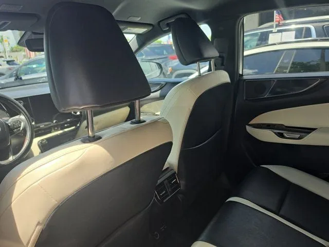 2024 Lexus NX 250 Base photo 12
