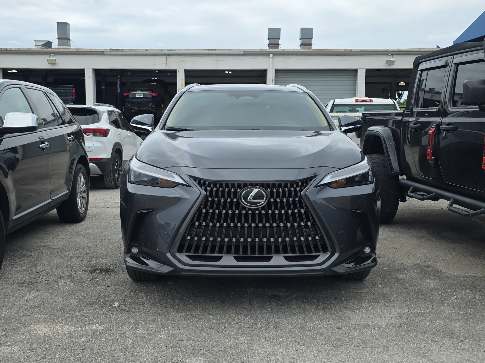 2025 Lexus NX NX 250 Premium photo 2