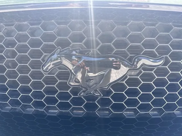 2022 Ford Mustang GT photo 10
