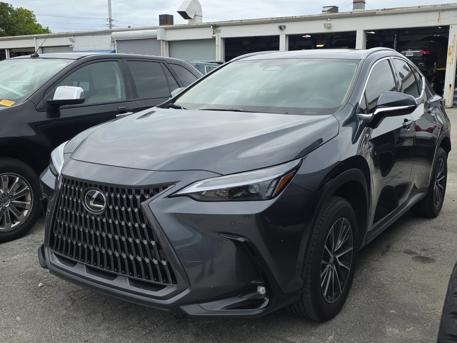 2025 Lexus NX NX 250 Premium photo 3