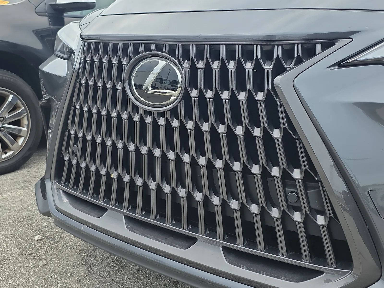 2025 Lexus NX NX 250 Premium photo 17