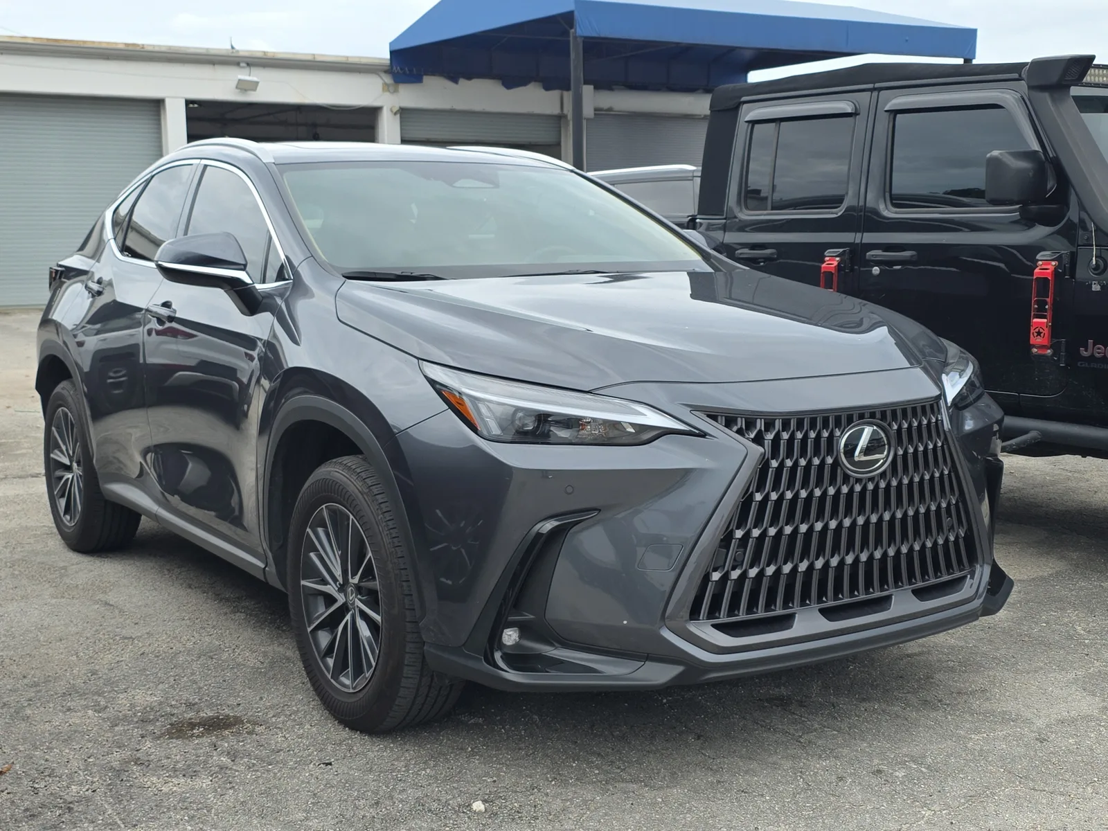 2025 Lexus NX