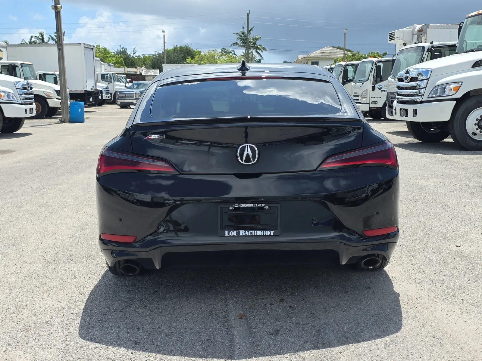 2024 Acura Integra w/A-Spec Technology Package photo 6