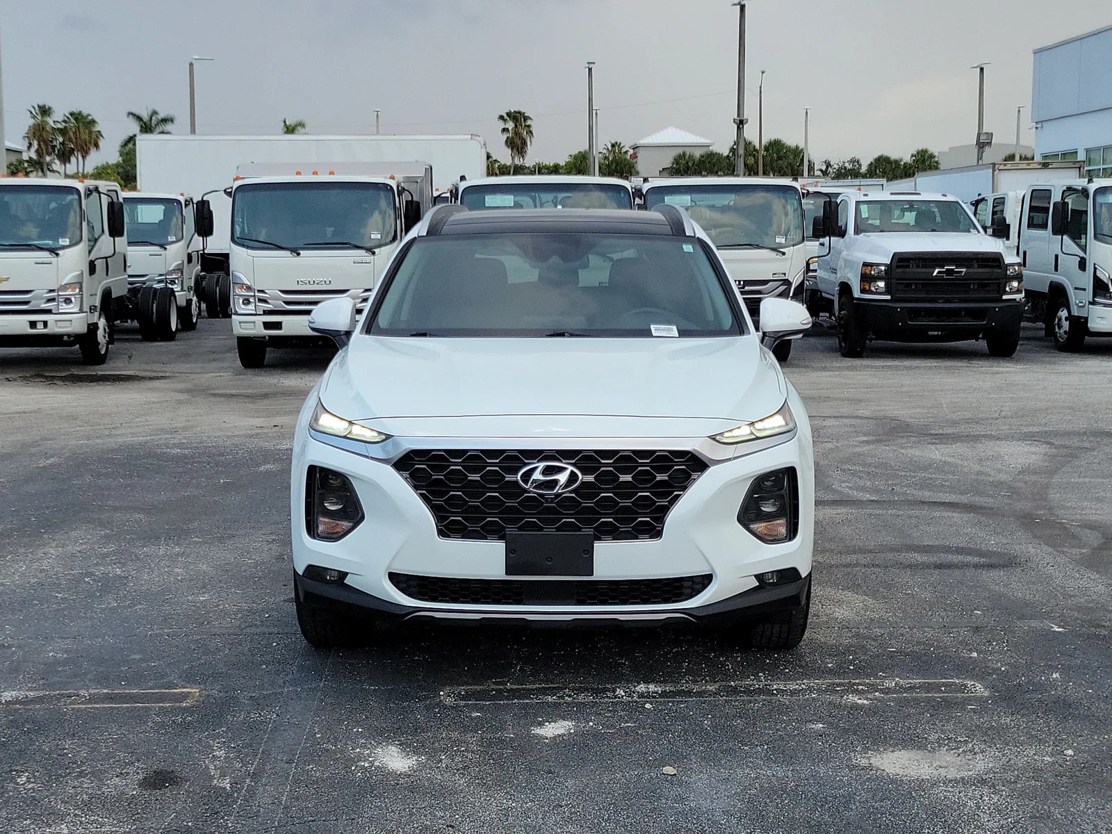 2019 Hyundai Santa Fe Ultimate photo 8