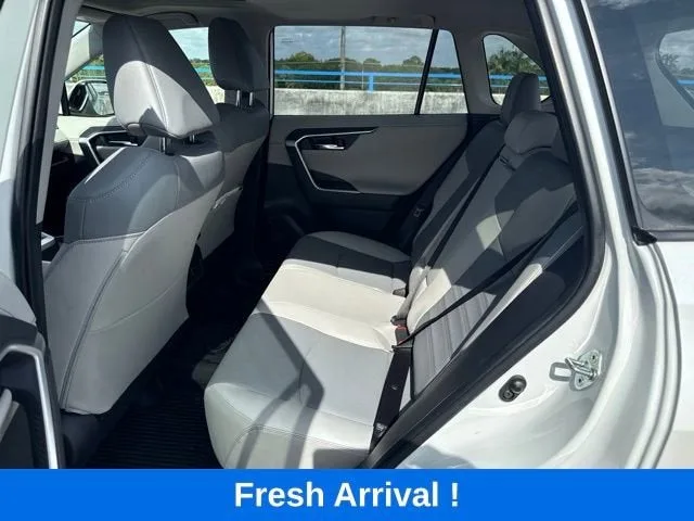 2023 Toyota RAV4 Limited photo 3