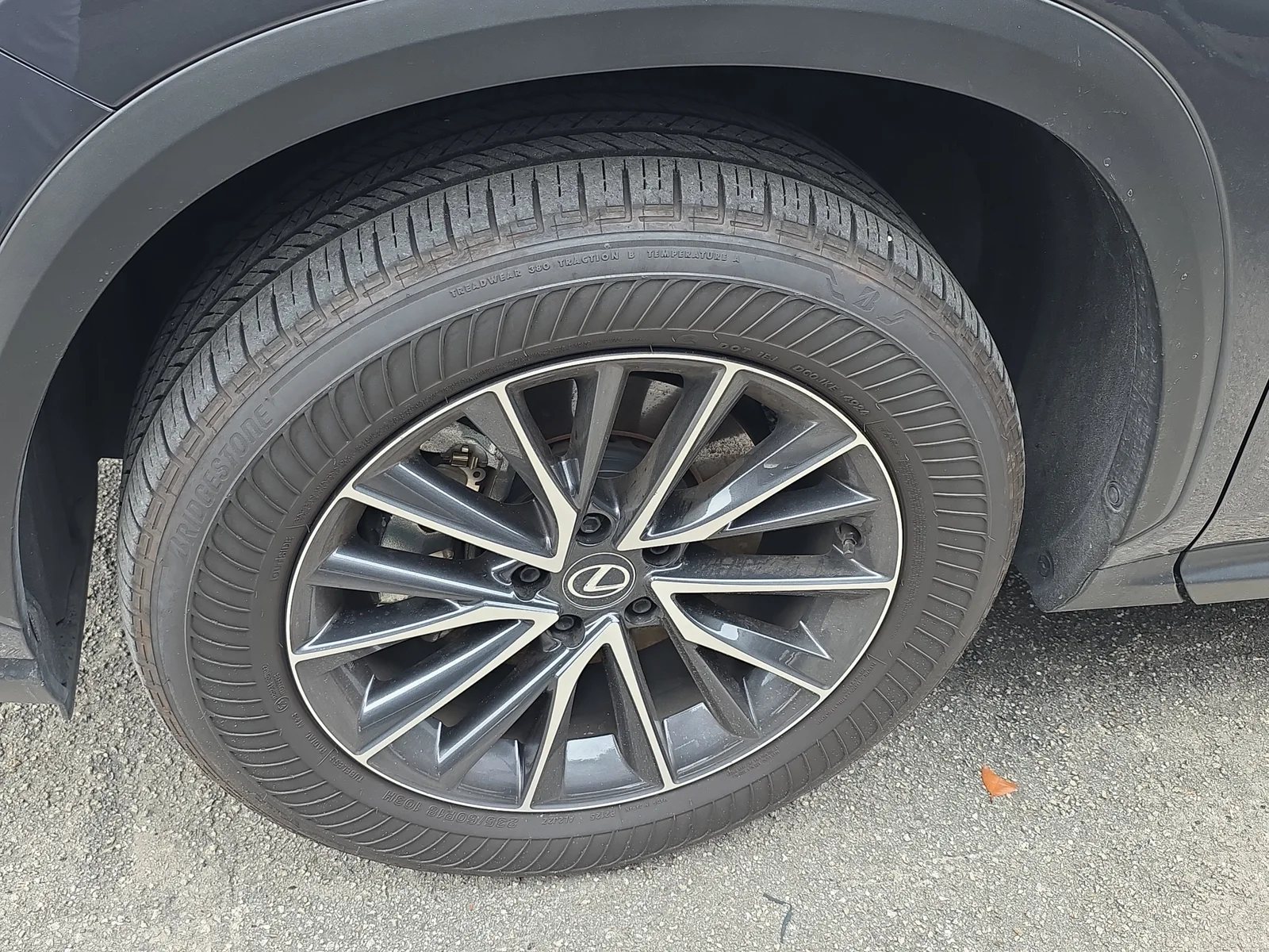 2025 Lexus NX NX 250 Premium photo 4