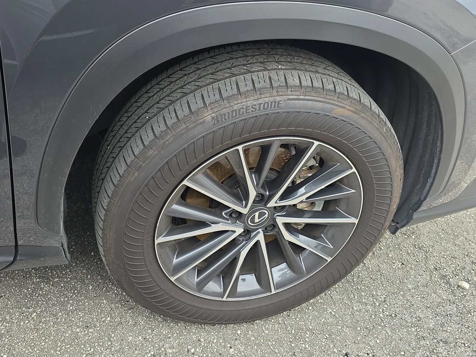 2025 Lexus NX NX 250 Premium photo 10