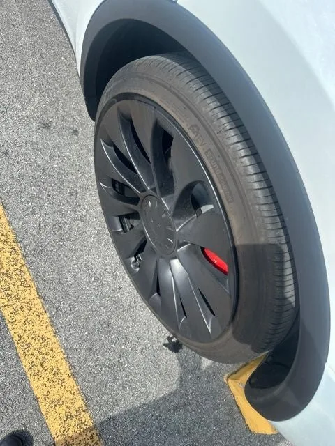 2024 Tesla Model Y Performance photo 15