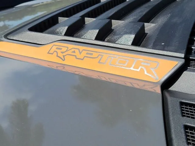 2018 Ford F-150 Raptor photo 9
