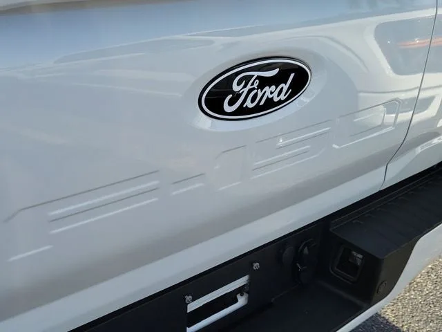 2025 Ford F-150 Platinum photo 6